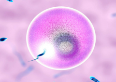 试管婴儿包成功方案怎么选？专家教你识别靠谱机构