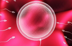 2026年成都市三代试管婴儿包成功？操作指南与注意事项必读