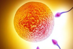 上海做试管助孕包成功可信吗？2026年价格与成功率权威对比