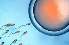 没有结婚证可以在湘西宁儿妇产医院做试管助孕生子吗？