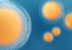 未婚女性去松山湖中心医院做三代试管可行吗？成功几率高吗？