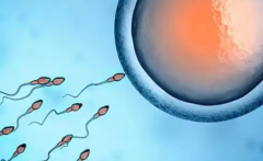 2026年中山市人民医院单身做试管婴儿收费一览表！