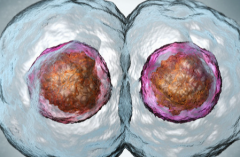 深圳市做试管助孕包成功可信吗？2026年价格与成功率权威对比