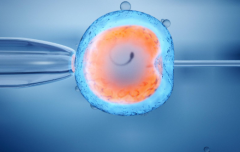 2026年未婚人士如何在浙江省做试管？浙江省人民医院可不可以做？