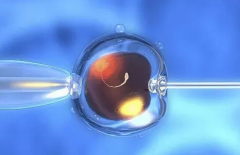 全国三代试管婴儿2026包成功？流程+注意事项深度科普