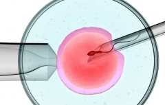 2026哈萨克斯坦三代试管包成功避坑指南：流程步骤+关键细节一次性说清