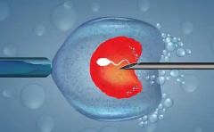 单身男性独自去吉尔吉斯斯坦做试管助孕合法吗？