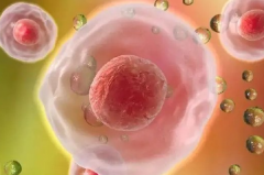 天津三代试管婴儿2026包成功？流程+注意事项深度科普