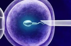 2026年海南海口三代试管婴儿包成功？附操作流程与关键注意事项