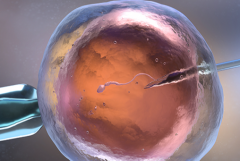 单身人士在郴州市第一人民医院能做试管婴儿吗？大概要多少钱？