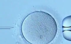 揭秘杭州妇产科医院未婚做试管婴儿多少钱，一次预算12万才够