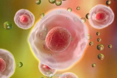 2026年单身人士能不能在交大二附院做试管助孕?步骤全解析!