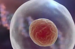 2026年单身女性在安阳市妇幼保健院能做试管婴儿吗？