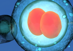 中山助孕生子-中山十大值得信赖助孕公司