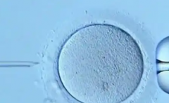 没有结婚证可以在吉林大学第一医院做试管吗？试管费用及成功率一览