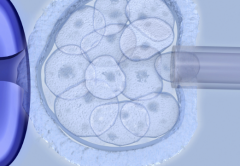 2026年临沂市妇幼保健院单身试管成功率及费用明细，真实经验分享
