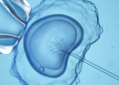 2026年甘肃兰州三代试管包成功是真的吗？详细流程与注意事项分享