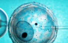 没结婚证能做试管婴儿吗？广医三医院试管是不是接受未婚人士？