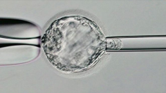2026年在成都做三代试管包成功可信度高吗？医院详情分享