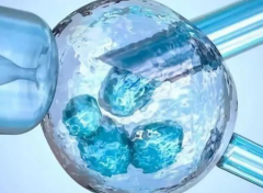 2026年单身女性在锦州妇婴医院能做试管婴儿吗？