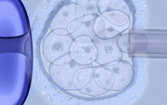 吉尔吉斯斯坦第三代试管婴儿费用多少？附收费明细与流程介绍