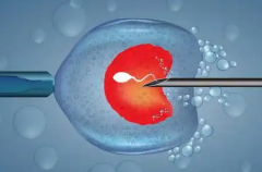 山东济南市做试管婴儿包成功医院可信吗？