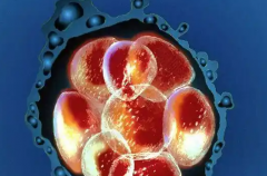 2026年承德市中心医院单身试管婴儿费用价目表一览！