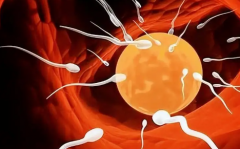 在济南市找试管婴儿私立医院包成功服务是真的吗？还是骗钱套路？