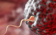 2026年单身女性可以在昆明市第一人民医院做试管婴儿吗？详细流程公布