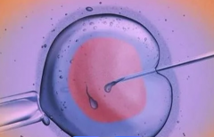 盐城市妇幼保健院为单身做试管婴儿的成功几率大吗？