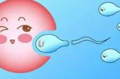 2026济南做试管助孕生孩子多少钱？助孕全流程经济预算参考