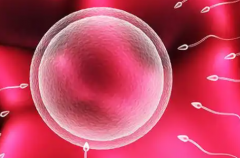 太原承诺试管包成功生孩子的私立医院是真的吗？