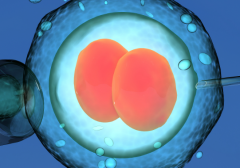 贵阳市试管包成功生孩子的私立医院值得信赖吗？