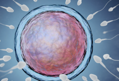 2026合肥市三代试管包成功可信吗？本地权威医院推荐