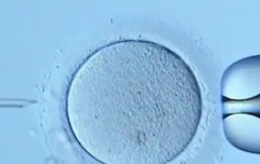 中国三代试管包成功必看！2026医院选择及流程攻略