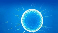 海军特色医学中心未婚女性试管婴儿成功率怎么样？