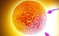 国内三代试管助孕多少钱？附成功率及完整流程介绍