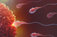 2026年单身做试管婴儿盐城市妇幼保健院接受吗？流程一览！