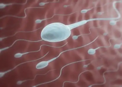 哈尔滨市试管包成功套餐靠谱吗？业内人士透露选正规机构关键点