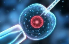 2026年四川省试管婴儿费用详情：第三代技术各阶段费用真实披露