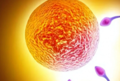 浙江杭州试管包成功私立医院如何选？专业建议助您避坑