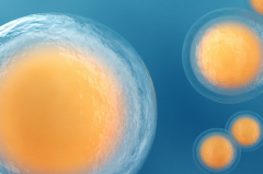 河北省三代试管婴儿2026年费用大概多少？具体费用明细公布！