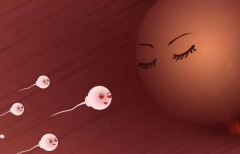 河北省生殖医院能接受单身女性做试管助孕吗？