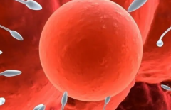 马鞍山妇幼能接受单身女性做试管助孕吗？