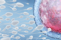 2026年单身人士想在肇庆西江医院做试管婴儿需要哪些步骤？