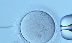 2026年单身人士在海南省妇幼做试管价格要多少？附详细费用明细