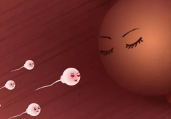 海口市三代试管婴儿大概需要多少费用？2026年试管价格参考！