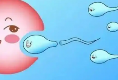 现在成都市做人工受孕的费用是多少，详细开支清单参考