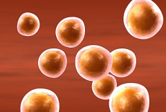 2026年陕西西安三大助孕机构的最新费用价格表一览！