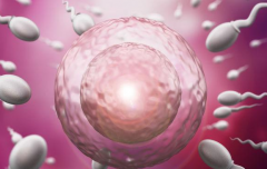 2026年南京市助孕生子费用大概是多少？基本在15万至30万之间